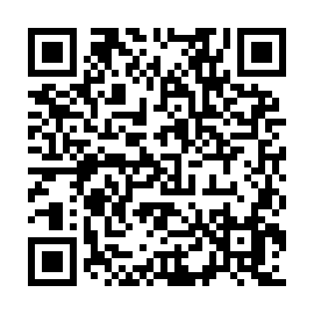 QR code for 341IN