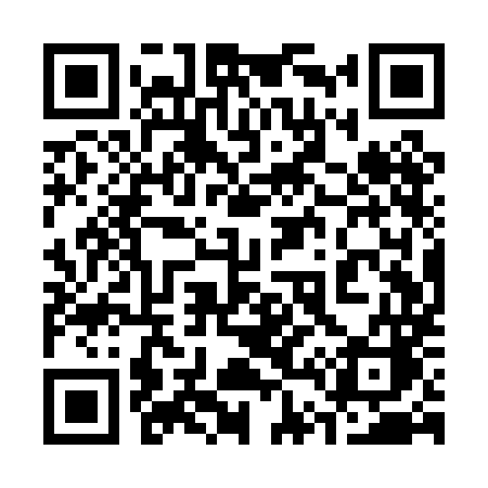 QR code for 341PMC