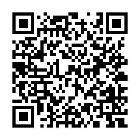 QR code for 355YY