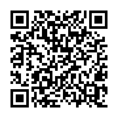 QR code for 356PMG