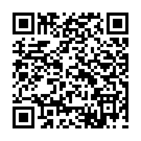 QR code for 363SS