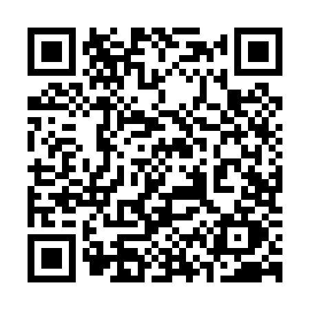 QR code for 368P