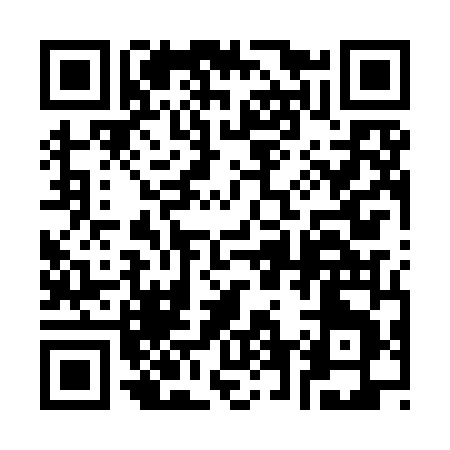QR code for 369IN
