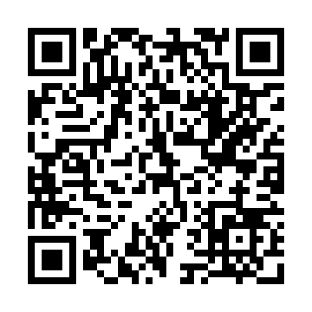 QR code for 369IV