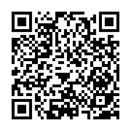 QR code for 369NS