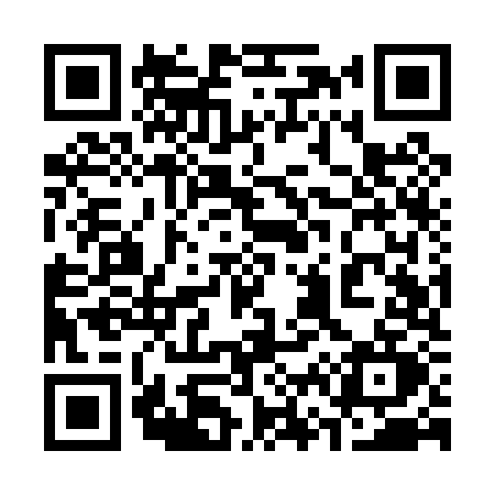 QR code for 369P