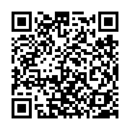 QR code for 369VSI