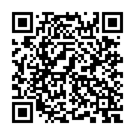 QR code for 370DDZ
