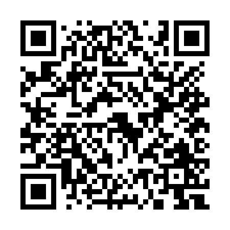 QR code for 370NZ