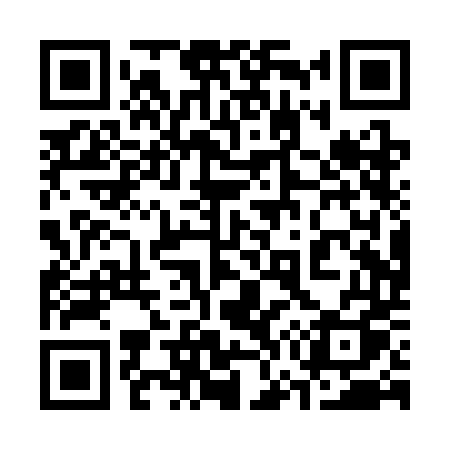 QR code for 370SDQ