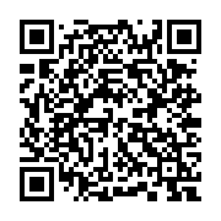 QR code for 370TOK
