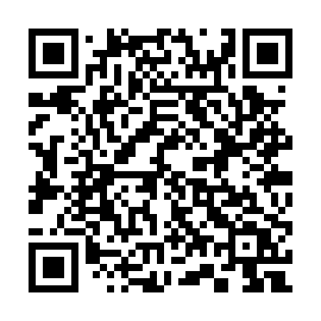 QR code for 373PPT