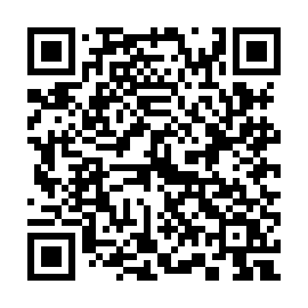 QR code for 375HEV