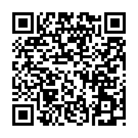 QR code for 375MP