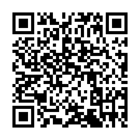 QR code for 375PI