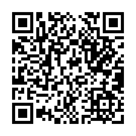 QR code for 375QI