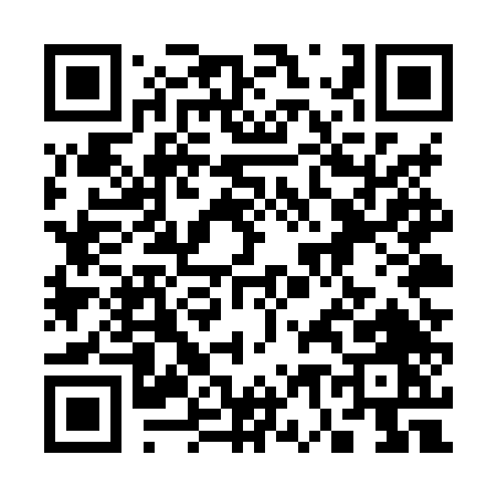 QR code for 375XT