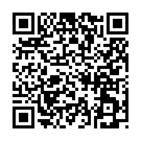QR code for 375ZG