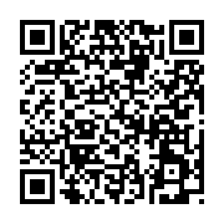 QR code for 376ID