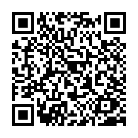 QR code for 376P