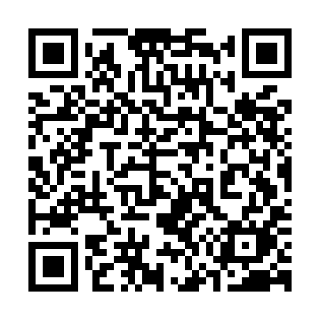 QR code for 377MIM