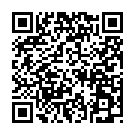 QR code for 377YL