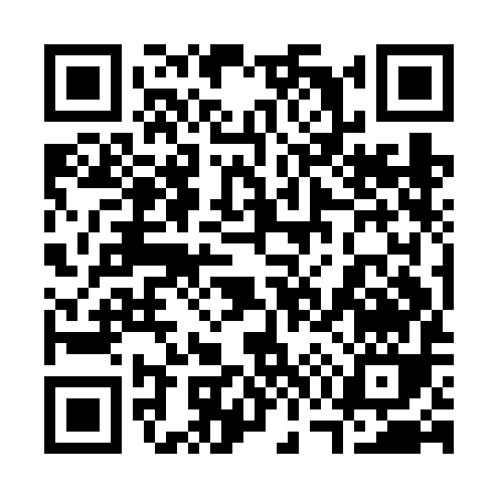 QR code for 379FI