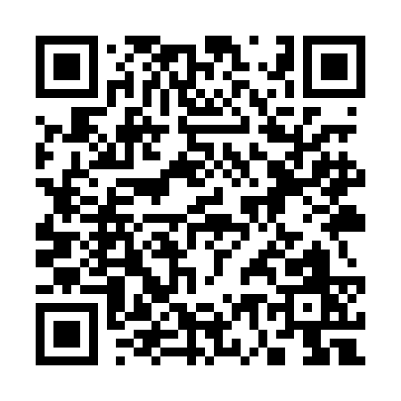 QR code for 379PC