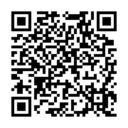 QR code for 379SV