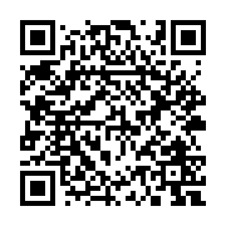 QR code for 379SW