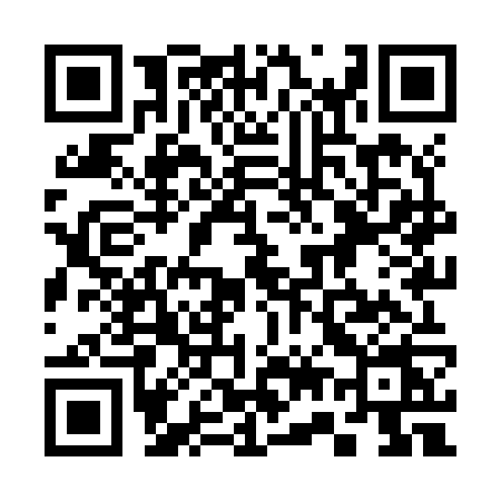 QR code for 379Z