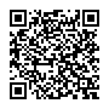 QR code for 380MSP