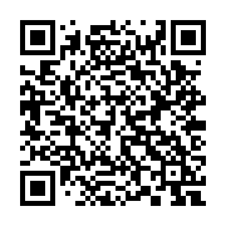 QR code for 380PZK