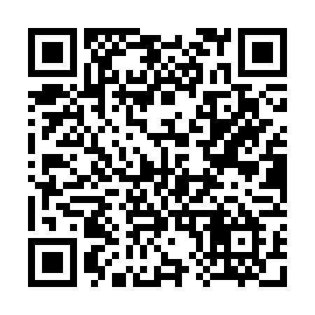 QR code for 380SVM