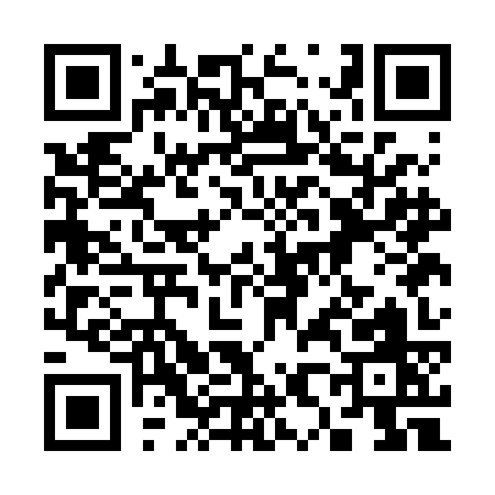 QR code for 381BK