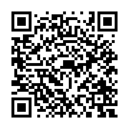 QR code for 381BP