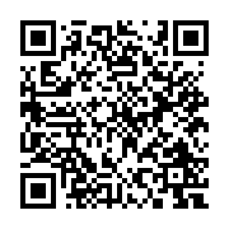 QR code for 381BR