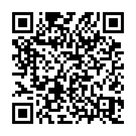 QR code for 381CDQ