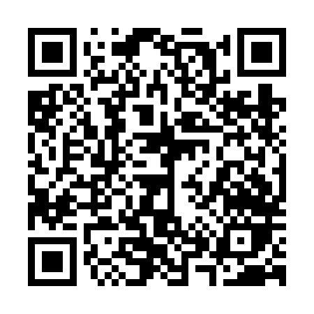 QR code for 381FL