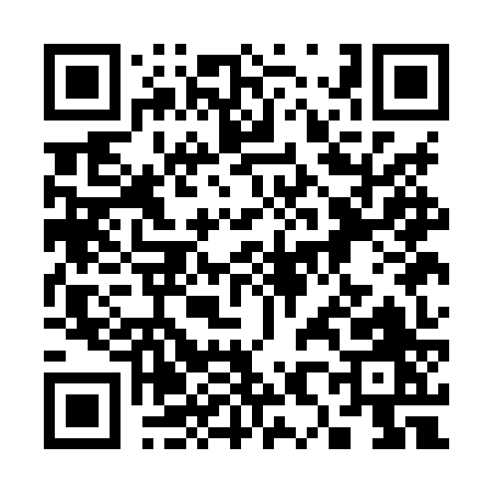 QR code for 381HZ