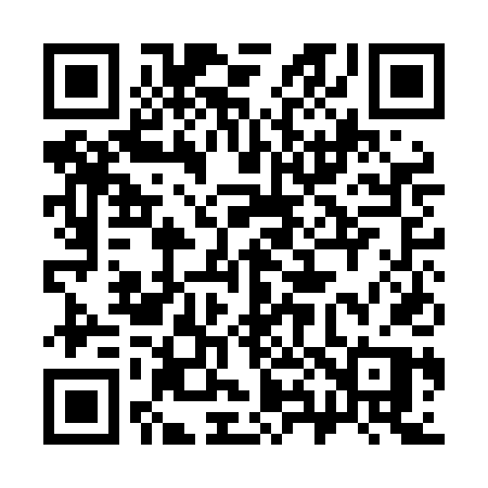 QR code for 381LDP