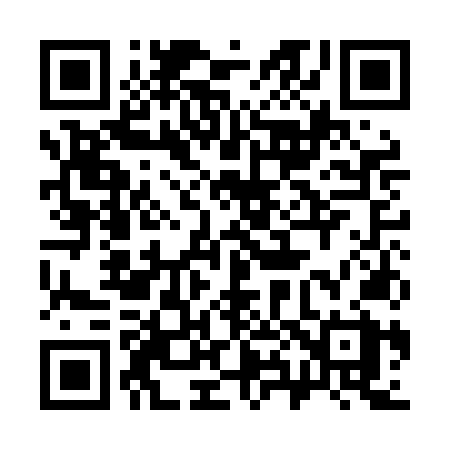 QR code for 381LNX