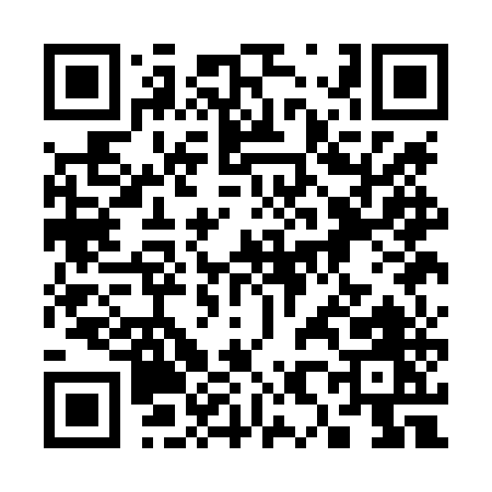 QR code for 381LU