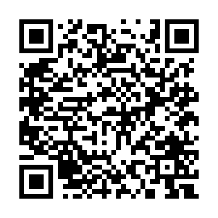 QR code for 381MN