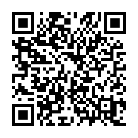 QR code for 381MPI