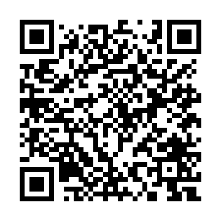 QR code for 381NN