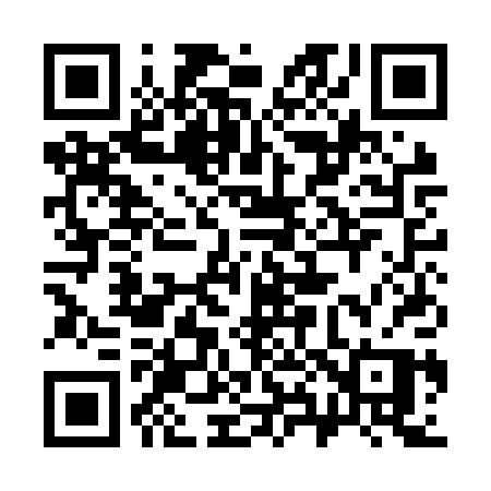 QR code for 381NPP