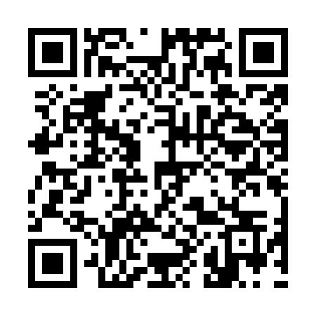 QR code for 381OOS
