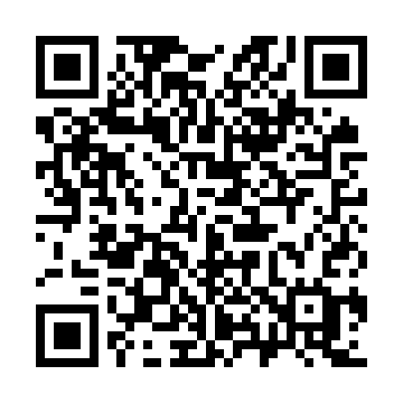 QR code for 381OSG