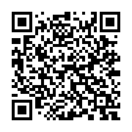 QR code for 381PAT